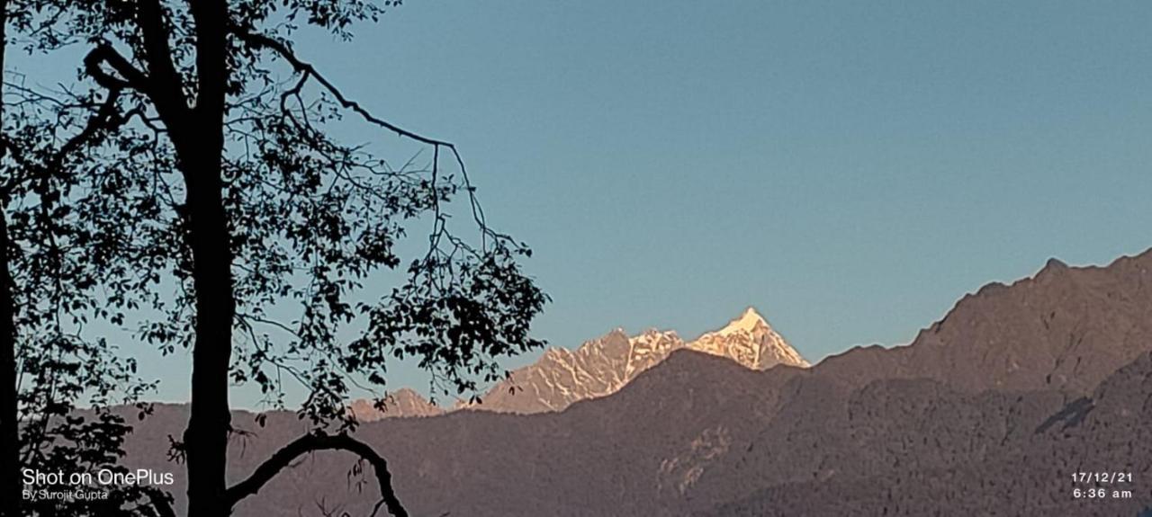 Log Cabin In The Woods Bed and Breakfast Gangtok Esterno foto